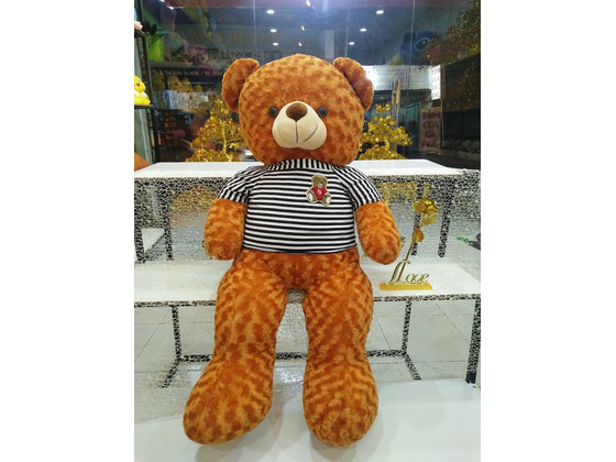 Gấu Bông Teddy Hug me Cam