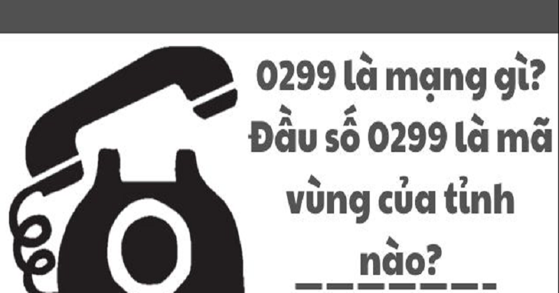 [Giải Đáp Nhanh] Đầu số điện thoại 0299 là mạng gì mạng nào?