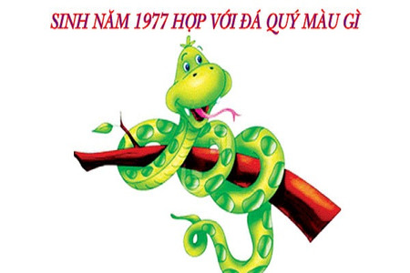 Nam – Nữ sinh năm 1977 tuổi Đinh Tỵ mệnh gì, hợp với đá màu gì