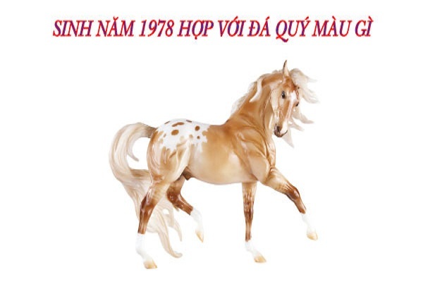 Nam- Nữ sinh năm 1978 tuổi Mậu Ngọ mệnh gì, hợp với đá màu gì