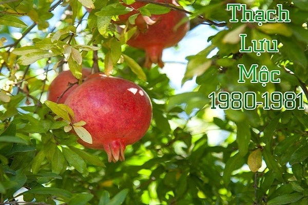 Nam Nữ Thạch Lựu Mộc hợp mệnh gì, màu gì - kỵ màu gì và hợp với số nào