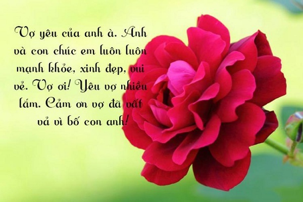 Những lời chúc mừng sinh nhật vợ ngắn gọn ý nghĩa hay ngọt ngào nhất
